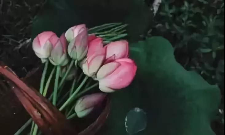 为何爱众生易,爱身边人难? 为何爱众生易,爱身边人难?