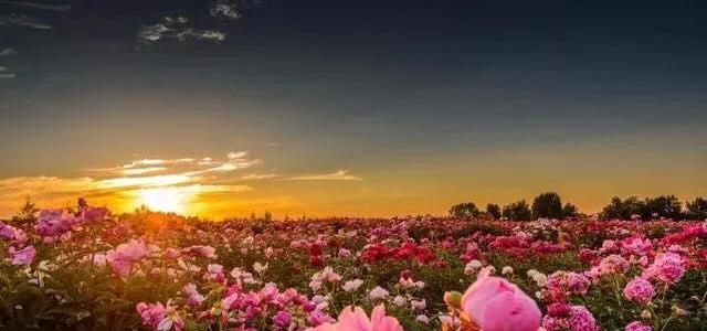 Խ�ǻ����е��ˣ�Խ��ϲ�����澳����