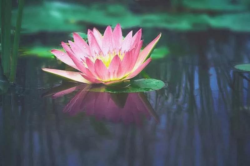 ����������������ա���������