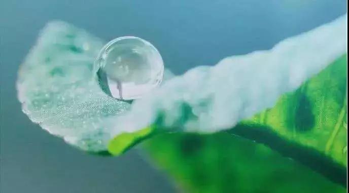 ����������������ա���������