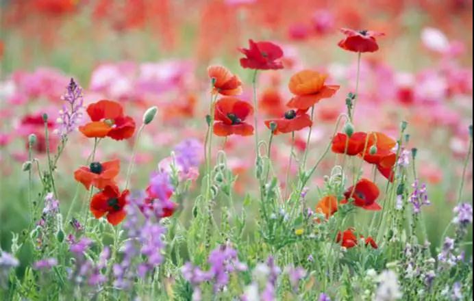 21�仰����ȥ���ǳ�ͽ���