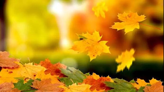 21�仰����ȥ���ǳ�ͽ���