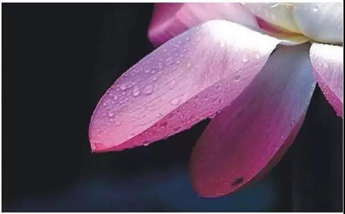 21�仰����ȥ���ǳ�ͽ���