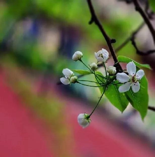 ÿ�췴ʡ�Լ���ʮһ�������ʵ��ף�