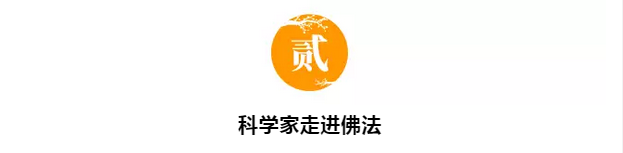 ŵ������ѧ����ѡ�����ڹ⣺��Ϊʲô������̣�