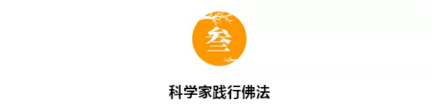 ŵ������ѧ����ѡ�����ڹ⣺��Ϊʲô������̣�