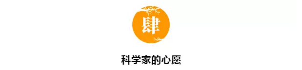 ŵ������ѧ����ѡ�����ڹ⣺��Ϊʲô������̣�