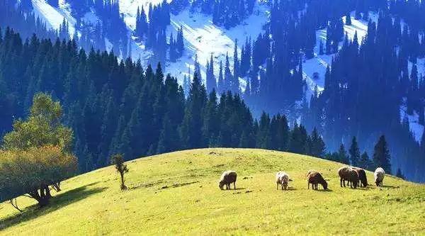 净土在哪?高僧揭秘西方极乐世界真正的位置 净土在哪?高僧揭秘西方极乐世界真正的位置