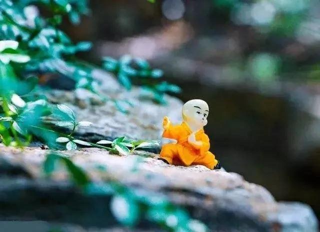 �����ܻ��ȥ������Ҳ���ȥ�����ǵ��Ĳ�Ҫ���⾳��ǣ��~