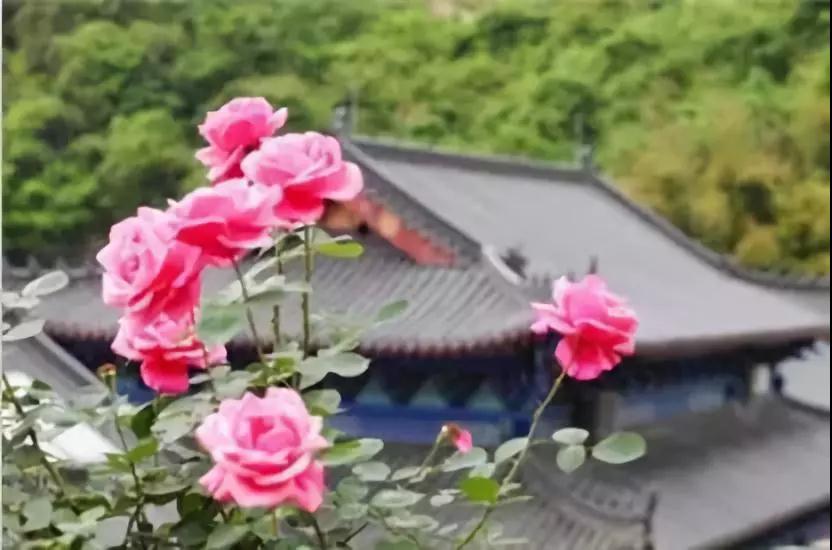 一个人学佛,真的是一家人都有福~ 一个人学佛,真的是一家人都有福~