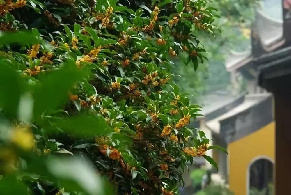 一个人学佛,真的是一家人都有福~ 一个人学佛,真的是一家人都有福~