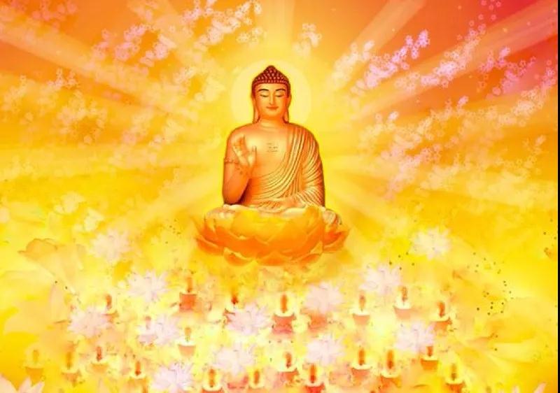 ���������������������ʲô���ã�