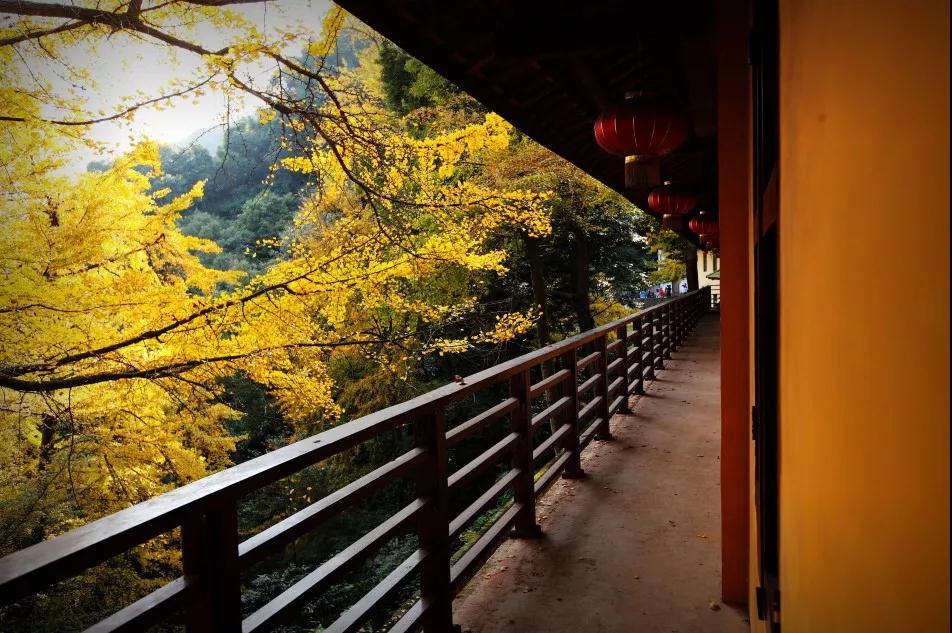 Ϊ���ľ����ǻ۾����ˣ�