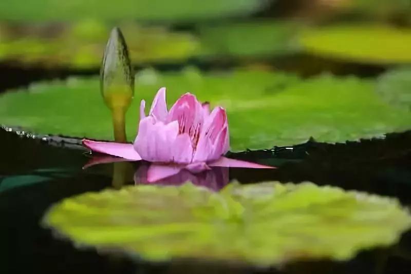 ���߳���ţ��Ͳ�������Ծ���