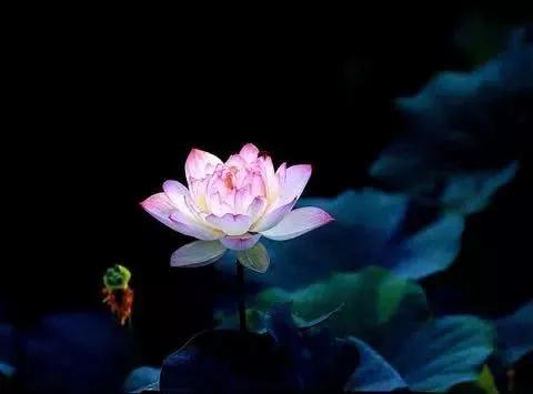 ˵�������������ŷ����ţ�