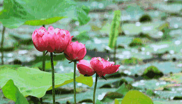 ���У���Ҫ͸�������еĸ��־�ȥ��������~