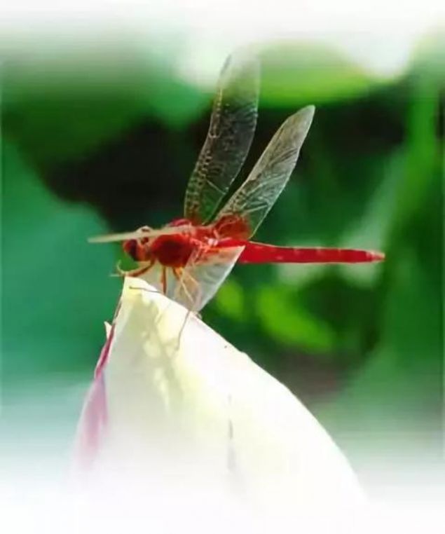 ���۵õ�ʲô����ֻ��ʹ���һ����