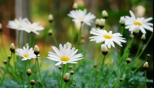 ���۵õ�ʲô����ֻ��ʹ���һ����