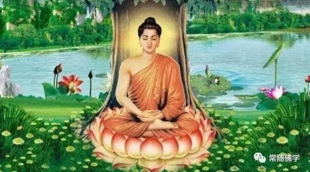 释迦牟尼佛揭示了我们流转轮回最关键的原因 释迦牟尼佛揭示了我们流转轮回最关键的原因