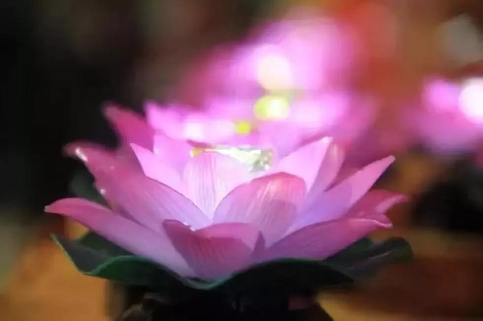 改变自己是神,改变别人是神经病 改变自己是神,改变别人是神经病