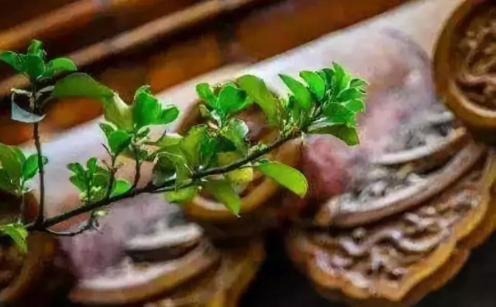 改变自己是神,改变别人是神经病 改变自己是神,改变别人是神经病