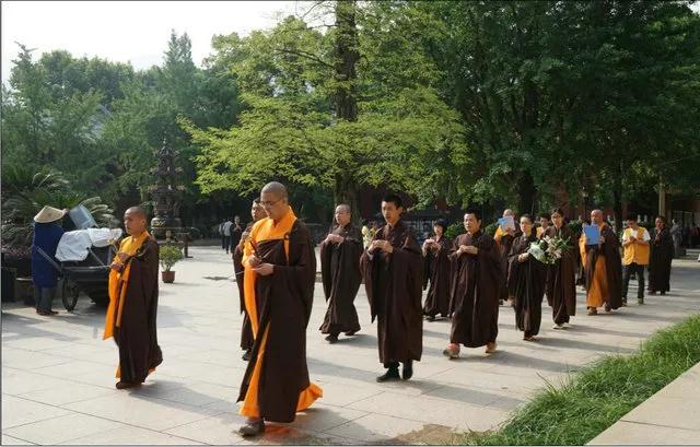 �������Ҫ�����ɡ����Ĺ�