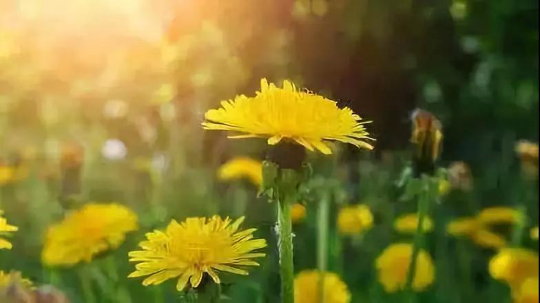 ����ŭ�������ģ�ƽ����һ�������ȹ�~