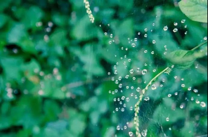 ���ǵ������徻����覡��޹�Ⱦ��