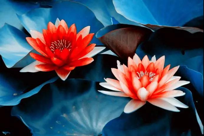 ���ǵ������徻����覡��޹�Ⱦ��