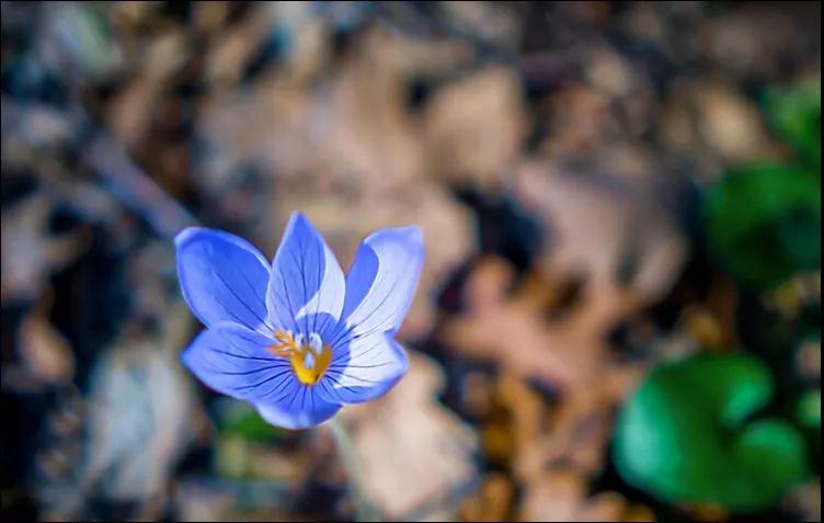 ���ǵ������徻����覡��޹�Ⱦ��