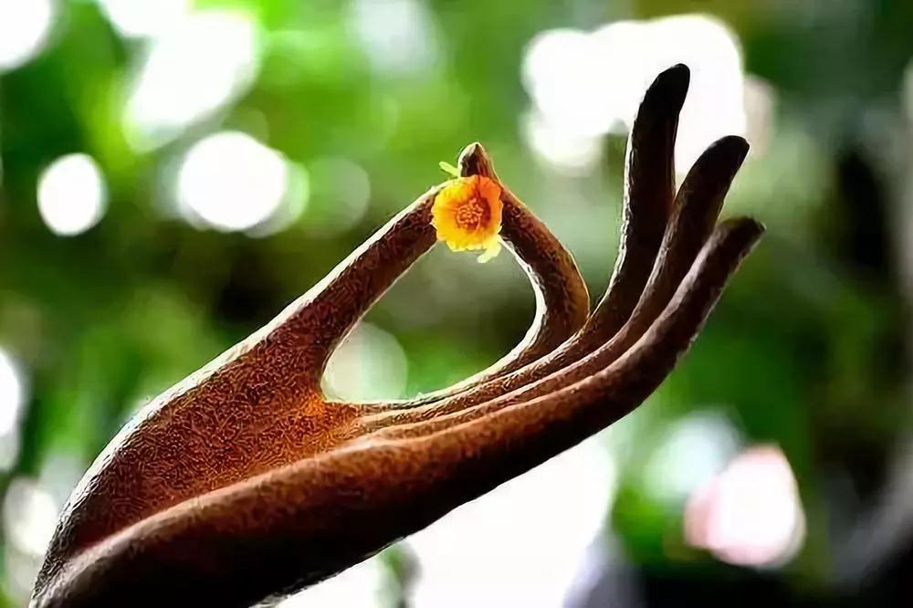 ���ǵ������徻����覡��޹�Ⱦ��