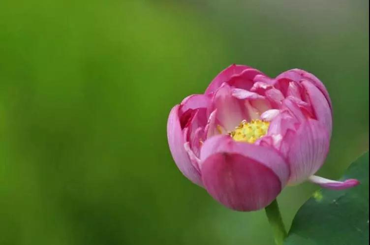 这些学佛的重点一定要掌握! 这些学佛的重点一定要掌握!