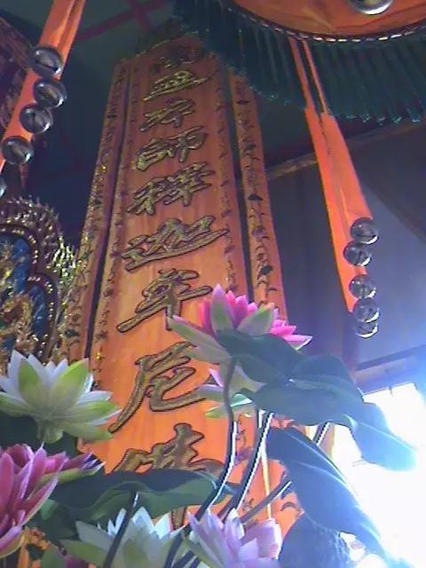 ��Ժ�ġ��շ��Ǹ���ģ������շ���ʲô�ô���