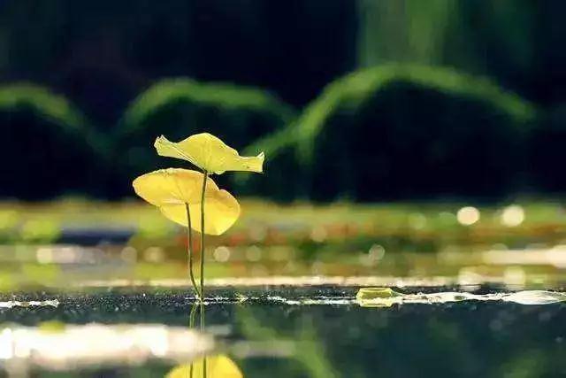 �������ĵĹؼ����������Ƿ���бȽϵ���