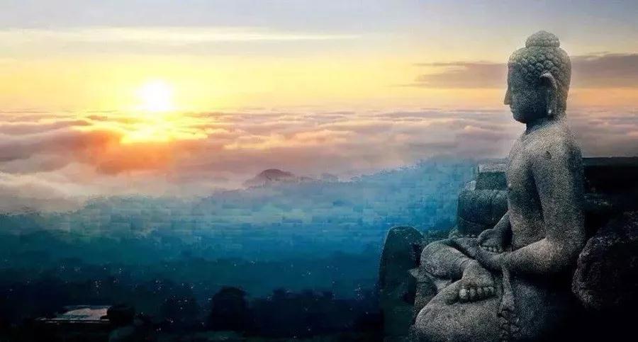 有人扔来烂泥巴,就用它种些金莲花! 有人扔来烂泥巴,就用它种些金莲花!