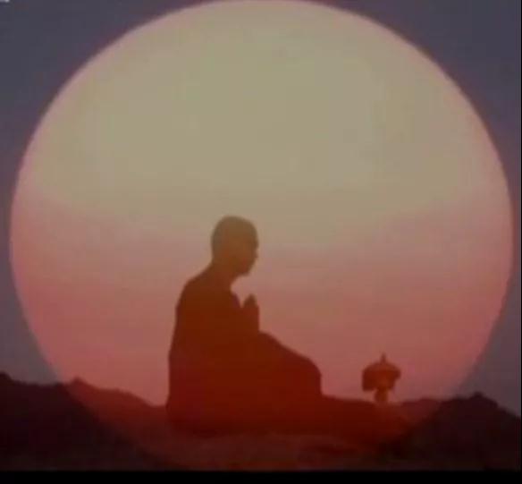 有人扔来烂泥巴,就用它种些金莲花! 有人扔来烂泥巴,就用它种些金莲花!