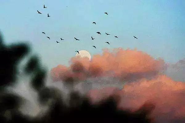 有人扔来烂泥巴,就用它种些金莲花! 有人扔来烂泥巴,就用它种些金莲花!