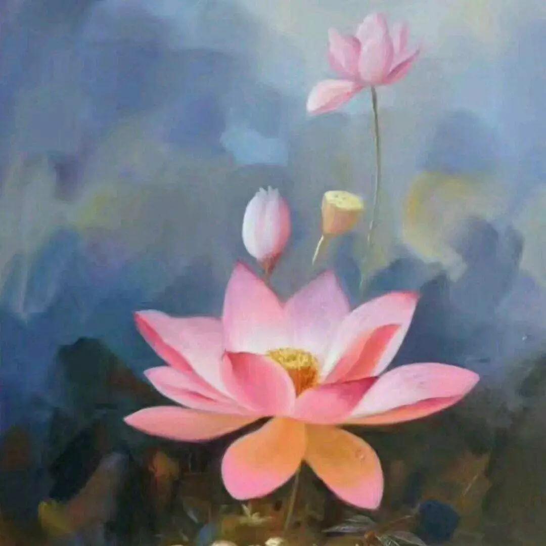 ���������ַ����ϰ�����