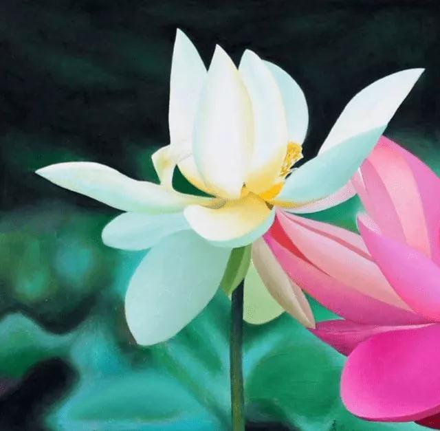 ���������ַ����ϰ�����