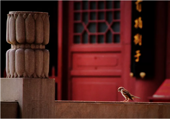 ����β������ٺ�����Ե������ֵֹİݷ���ɣ�����������