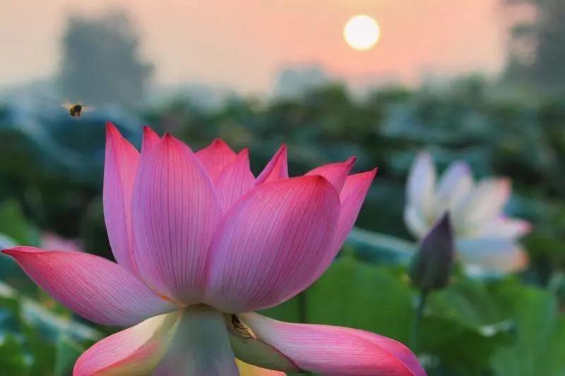 ����������Ը�ҽ�̤��������Ը������