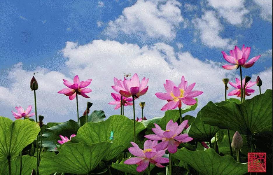 �����ʦ����Ϊ�����������ģ�������Ը�ַ�����