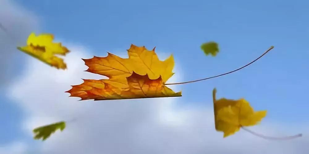 ��ɽ��ʦ���������Σ��˲��ɵ�