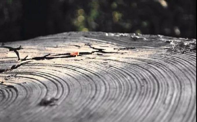 ���ͽ�ҹ���Ӧ��ע��ʲô��