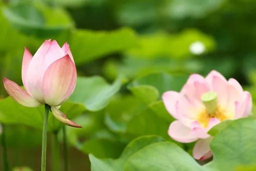 ����Ų�������ҵ��Ҫ�����������ˡ�