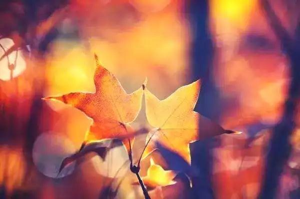 ������Ҫ���ܸ��ָ����Ŀ���