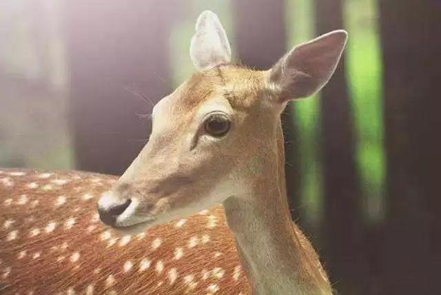 ĸ��Ҫɱ�㣬�к�����Ҫɱ����15���ӣ������ˡ�