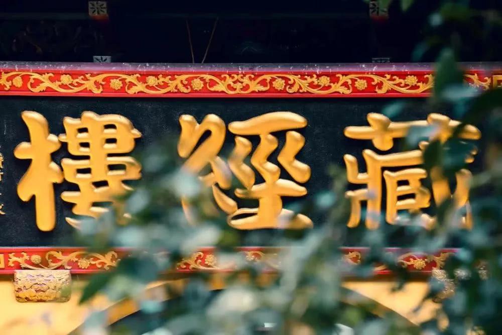 原谅那些伤害你的人_是他们成就了你 原谅那些伤害你的人_是他们成就了你