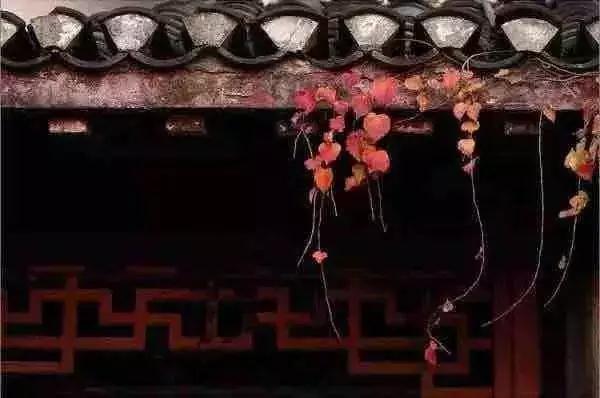 原谅那些伤害你的人_是他们成就了你 原谅那些伤害你的人_是他们成就了你