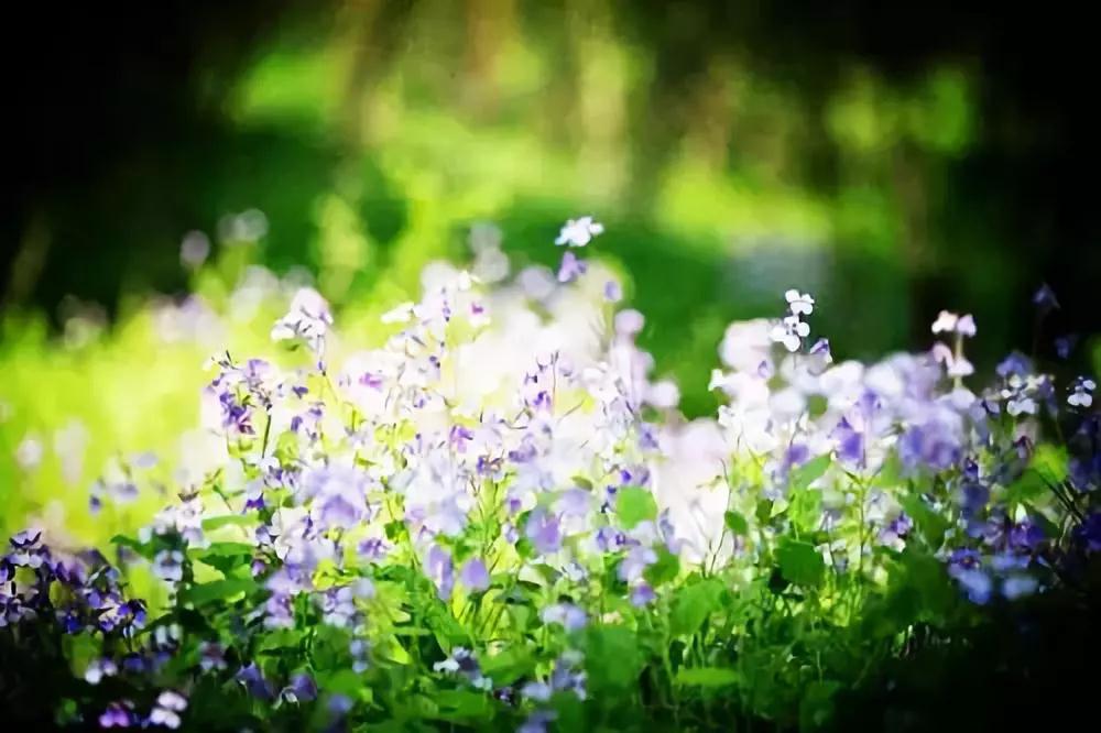 人命在几间?呼吸间 人命在几间?呼吸间